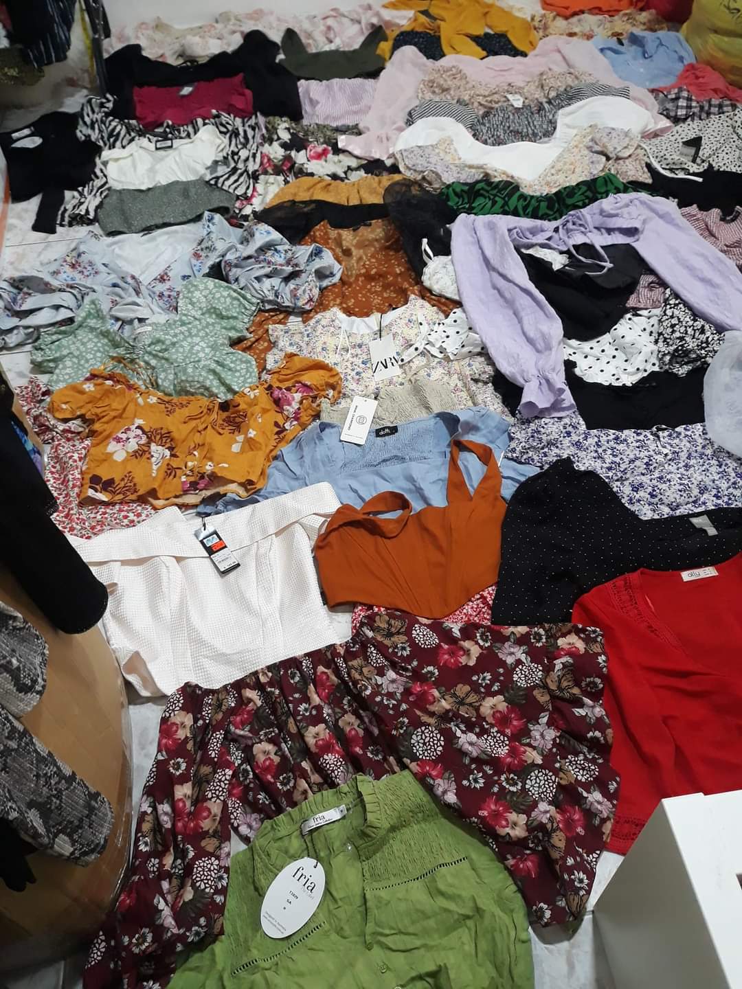 25kgs Premium Croptop