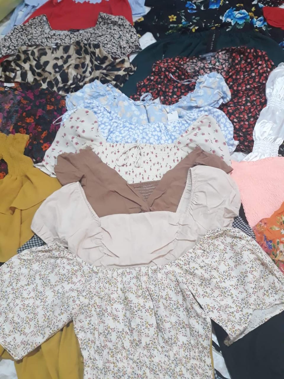 25kgs Premium Croptop